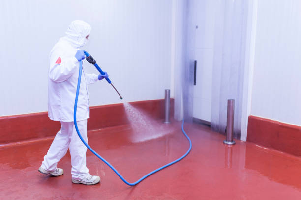 Trusted Plainfield Village, CT Pressure Washing Services Experts